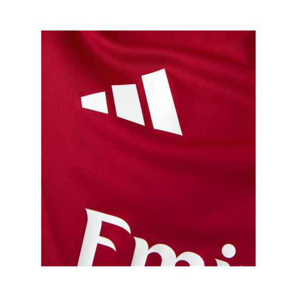 Camisola Olympique Lyonnais Tiro 2024/25 - Image 6